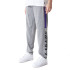 Pantalon New Era NBA Colour Block LA Lakers Grey Med Man