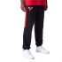 Pantalon New Era NBA Colour Block Chicago Bulls Black Man