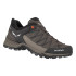 Chaussures Montagne Homme de Salewa Ms Mtn Trainer Lite Gtx Wallnut/Fluo Orange