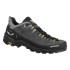 Chaussures Montagne Homme de Salewa Alp Trainer 2 Gtx M Onyx/Noir