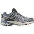 Chaussures de running Salomon XA Pro 3D V9 Gore Tex Flint Stone/Black/Gray Man