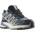 Chaussures de running Salomon XA Pro 3D V9 Gore Tex Flint Stone/Black/Gray Man