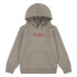 Sweatshirt Levi's Boxtab Hoodie Rusty Aluminum Kids
