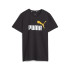 Puma Ess+ 2 Col Logo Kids T-Shirt