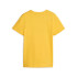 Puma Ess+ 2 Col Logo Kids T-Shirt