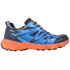 Trail Running Chaussures Hi-Tec Terra Track Blue Man