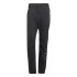 Pantalons adidas de la randonnée Mtovent Homme