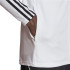 Veste Football adidas de Tiro23 L Tr Homme