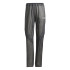 Pantalons Montagne adidas de Xpr Lt Rain P Femme