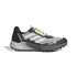 Mountain Chaussures adidas Terrex AgravicaVIc Flow 2 Man