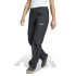 Mountain Trousers adidas Mt Rain Femmes