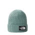 Chapeau Mountain Hat The North Face Logo Box Cuffed Green
