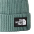 Chapeau Mountain Hat The North Face Logo Box Cuffed Green