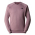 Mountain T-Shirt The North Face Raglan Redbox Crew - New Brown Hommes