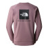 Mountain T-Shirt The North Face Raglan Redbox Crew - New Brown Hommes