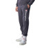 Pantalons Champion Manchette côtelée Legacy Grey Homme