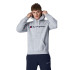 Sweatshirt Champion Legacy Gris Homme