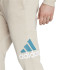 Pantalon adidas Bl Fl Tc Pt Hommes