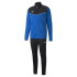 Football Tracksuit Puma Individualrise Track Man
