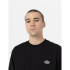 Sweatshirt Dickies Summerdale Hommes