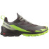 Chaussures de trail Salomon Cross Over 2 Gore-Tex Grey/Green