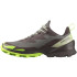 Chaussures de trail Salomon Cross Over 2 Gore-Tex Grey/Green