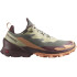 Mountain Chaussures Salomon Cross Over 2 Gore-Tex Alfalfa/Chocolate Chaussures Femme