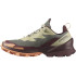 Mountain Chaussures Salomon Cross Over 2 Gore-Tex Alfalfa/Chocolate Chaussures Femme