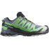 Trail Running Chaussures Salomon XA Pro 3D V9 Flint Stone Green Man