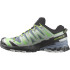 Trail Running Chaussures Salomon XA Pro 3D V9 Flint Stone Green Man