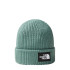 Chapeau Mountain Hat The North Face Salty Dog Doublé Vert