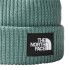 Chapeau Mountain Hat The North Face Salty Dog Doublé Vert