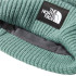 Chapeau Mountain Hat The North Face Salty Dog Doublé Vert