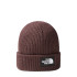 Chapeau Mountain Hat The North Face Salty Dog Doublé Marron
