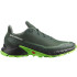 Chaussures de running Salomon Alphacross 5 Darkest Spruce/Black/Green Hommes