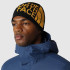 Bonnet de montagne The North Face Bannière réversible Noir