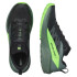 Chaussures de running Salomon Sense Ride 5 Black /Laurel Wreath/Green Man