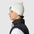 Mountain Hat The North Face Logo Box Pom Blanc