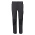 Pantalons Montagne Regatta de Questra V Frêne/Noir Homme