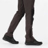 Pantalons Montagne Regatta de Questra V Frêne/Noir Homme