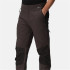 Pantalons Montagne Regatta de Questra V Frêne/Noir Homme