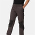 Pantalons Montagne Regatta de Questra V Frêne/Noir Homme