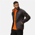 Mountain Jacket Regatta Clumber IV Hybrid Ash(OranPep) Homme