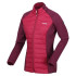 Veste de montagne Regatta Clumber Hybrid IV Femmes RumbaRd/Burg