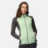 Veste de montagne Regatta Andreson VIII QuiGrn/SlGry Femmes