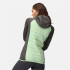 Veste de montagne Regatta Andreson VIII QuiGrn/SlGry Femmes