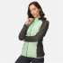 Veste de montagne Regatta Andreson VIII QuiGrn/SlGry Femmes
