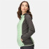 Veste de montagne Regatta Andreson VIII QuiGrn/SlGry Femmes