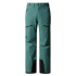 Pantalons de Ski y snow The North Face Chakal Vert Homme
