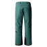 Pantalons de Ski y snow The North Face Chakal Vert Homme